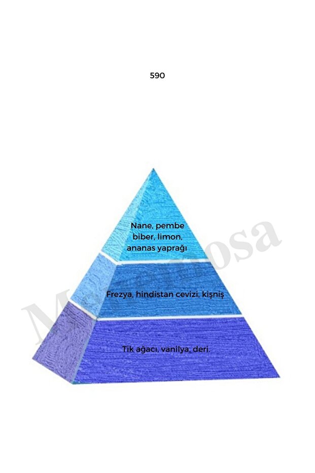 590 Erkek Parfüm Edp 50 Ml Fresh - 3