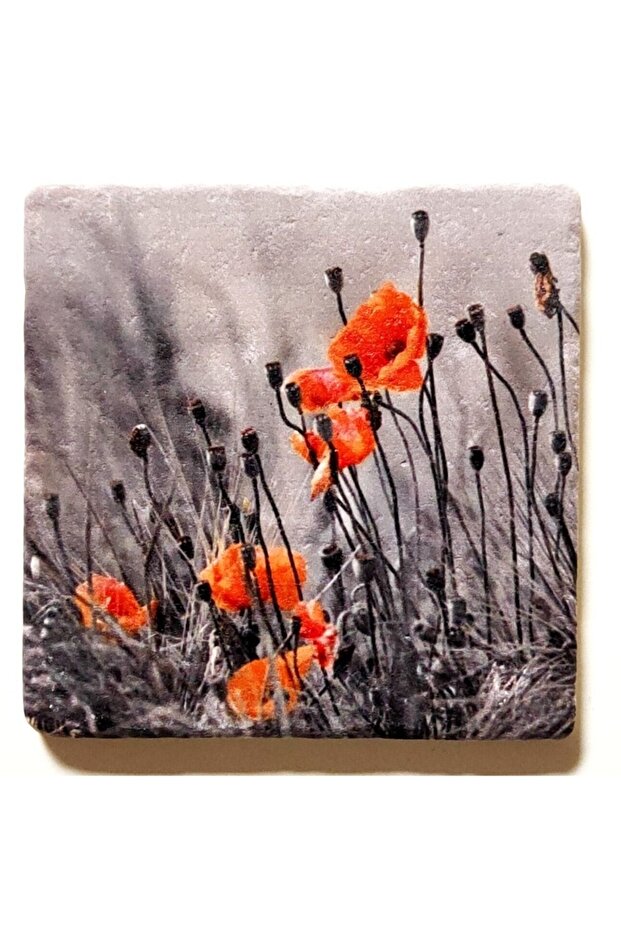 Decorative Figured Natural Stone Drain Cover Bathroom Ornament Single 10x10 Cm