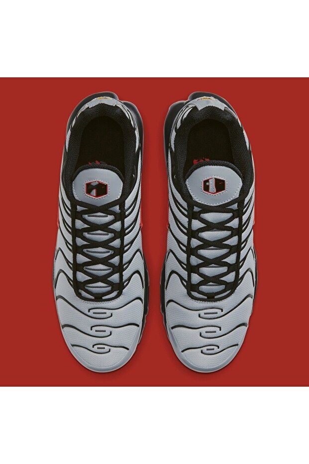 AIRMAX PLUS TN "GREY WOLF" - 4