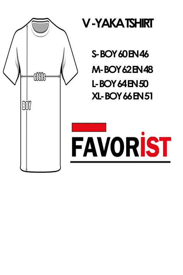 V Yaka Basic Pamuklu CLASSİCAL Baskılı Tshirt - 3