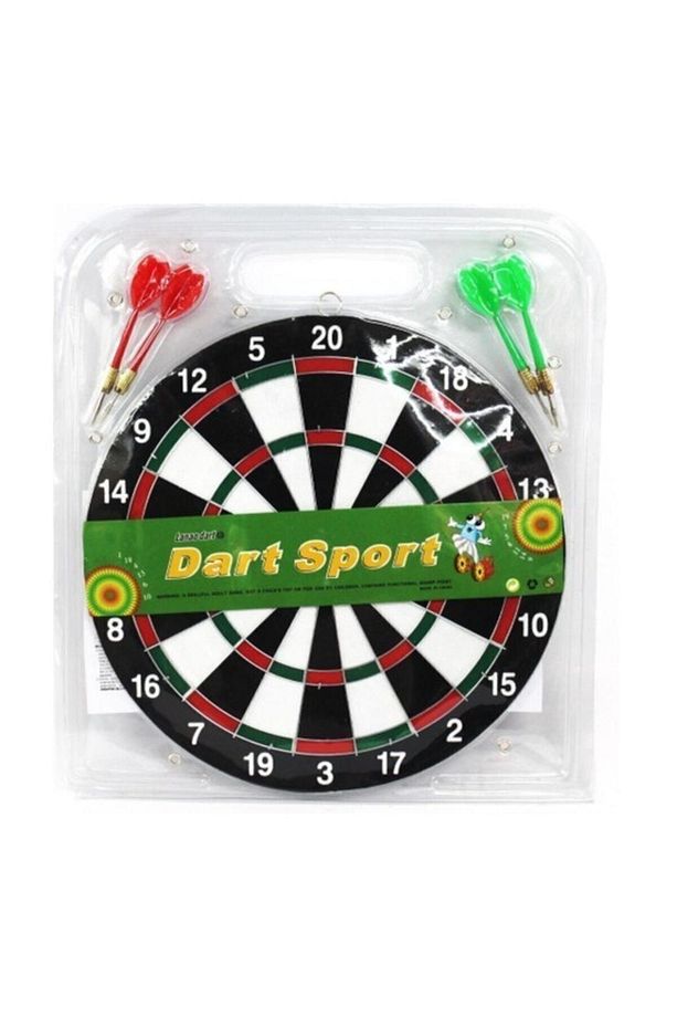 Dart Demir Uçlu 30 Cm - 2
