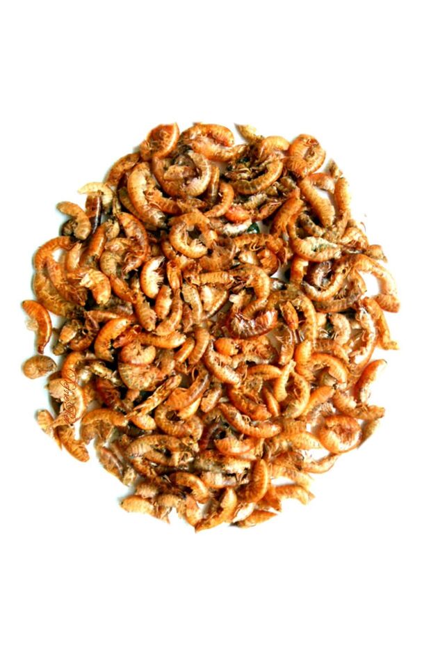 Gammarus Kaplumbağa Yemi 1 Lt, 250 ml Turtle Sticks Bonisa, Multivitamin - 3