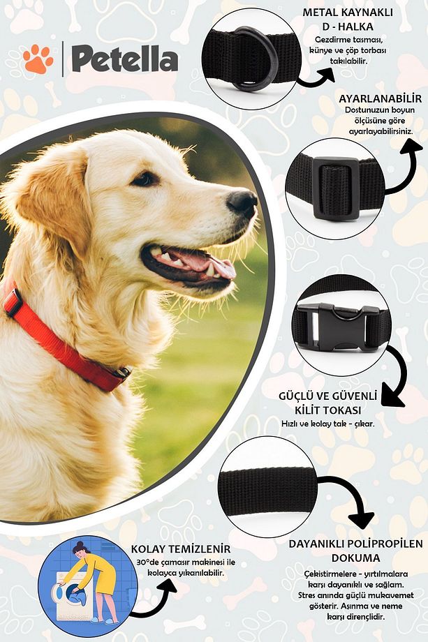Köpek Tasması Köpek Boyun Tasması Küçük Orta Büyük Irk Köpek Boyun Tasması - 4