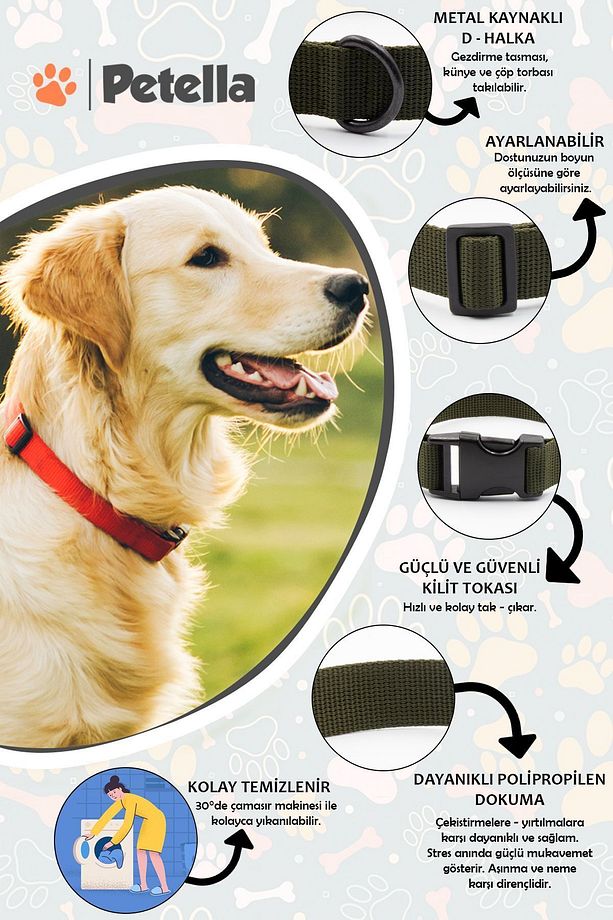 Köpek Tasması Köpek Boyun Tasması Küçük Orta Büyük Irk Köpek Boyun Tasması - 4