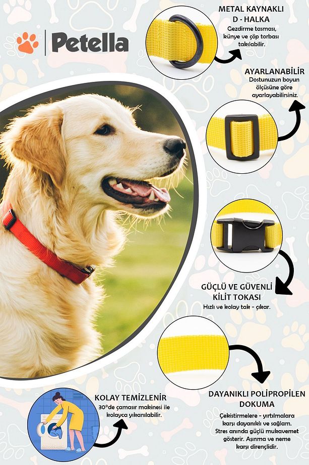 Köpek Tasması Köpek Boyun Tasması Küçük Orta Büyük Irk Köpek Boyun Tasması - 4