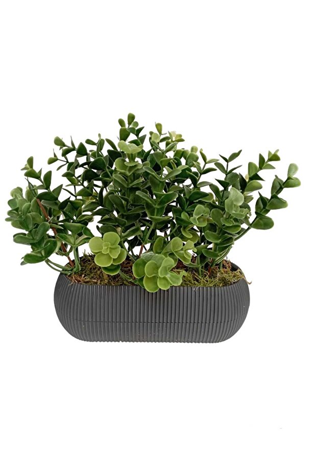 Eucalyptus in a Horizontal Tall Coral Anthracite Flower Pot Artificial Flower for Desktop Kitchen
