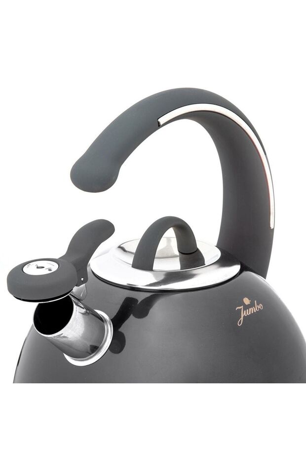 Grey Düdüklü Kettle 3 Lt - 2