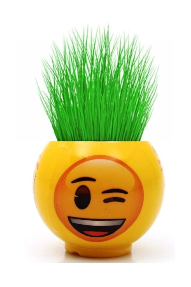 Çim Adam Orijinal Lisanslı Ürün Emojili Oyuncaklar 10 Adet - 3