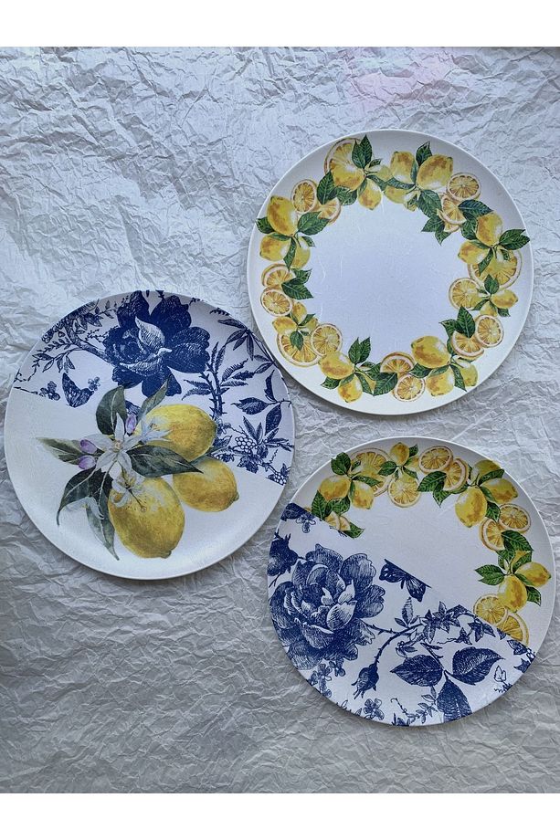 Limonlu Blue blanc Duvar Tabağı Dekoratif Bahçe Balkon Mutfak Salon Duvar Süsü No:129 - 6