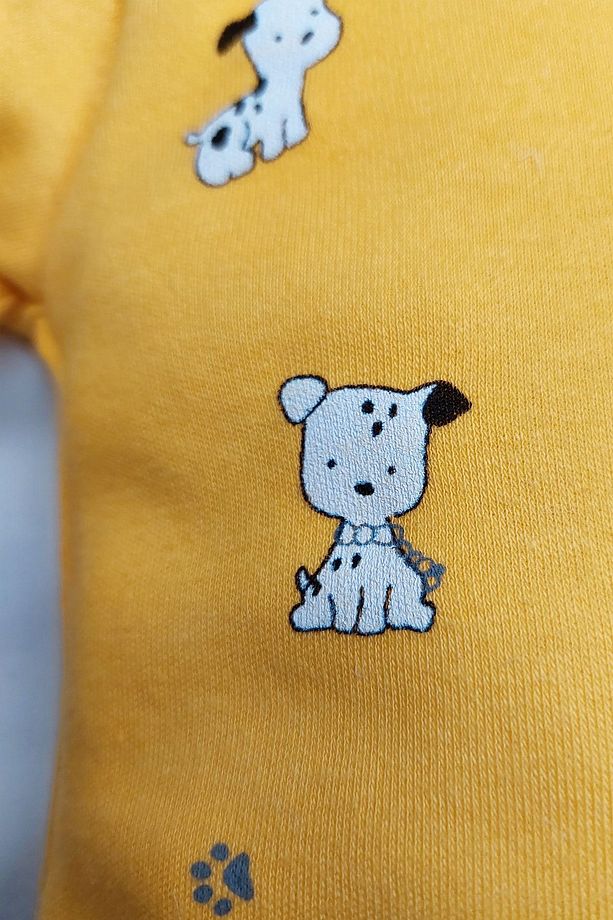 Çıtçıtlı Yavru Köpek Ve Dinazor Desenli 2li Tulum - 5