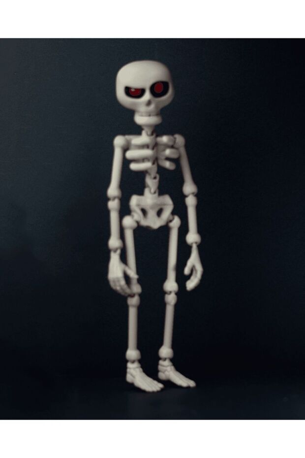 Insan Iskelet Modeli - 1