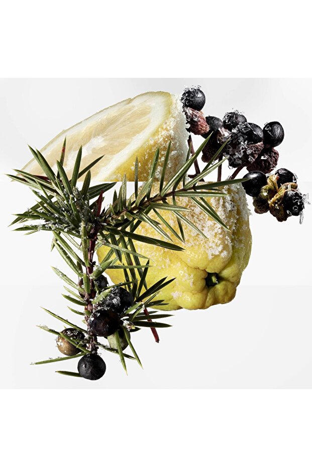 Terre D'Hermes Eau Givree - Eau de Parfum - 3