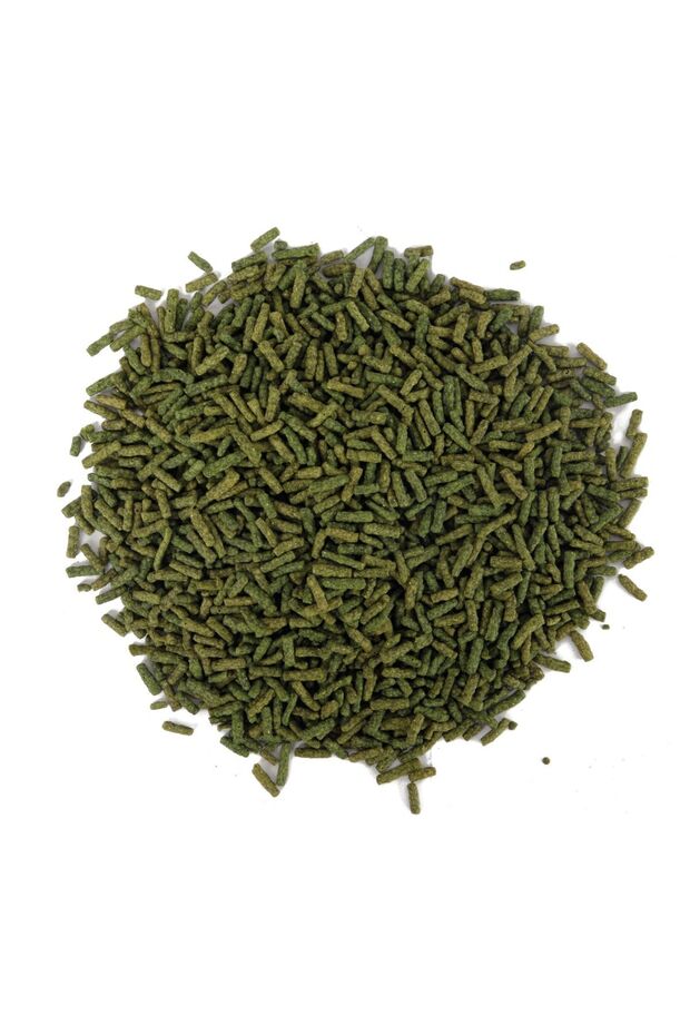 Gammarus Kaplumbağa Yemi 1 Lt, 250 ml Turtle Sticks Bonisa, Multivitamin - 5