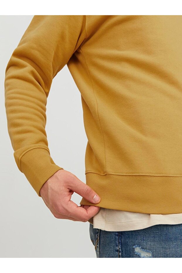 12208182 SWEATSHIRT - 5