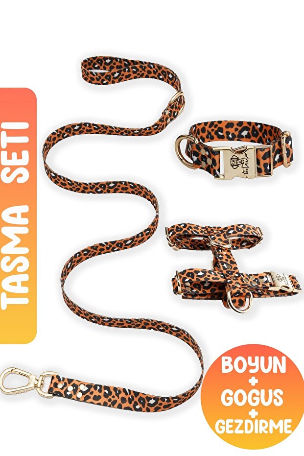 Anti-Escape Collar Leo 3-Piece Collar Set Chest Collar - Neck Collar and Travel Collar