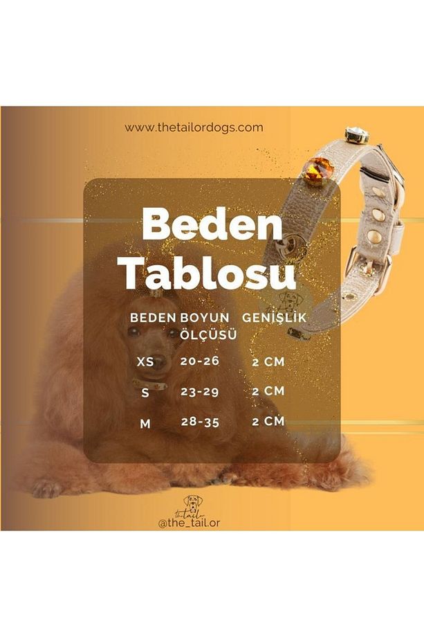 Taş Detaylı Köpek Boyun Tasması Gold Boyun Tasması Tek Adet Tekli - 3