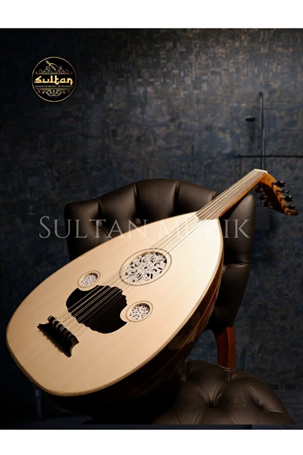 Yüksek Kalite Başlangıç Ud Tam Set ( Taşıma Çantası, Mızrap Seti, Cüzdan ) - 3