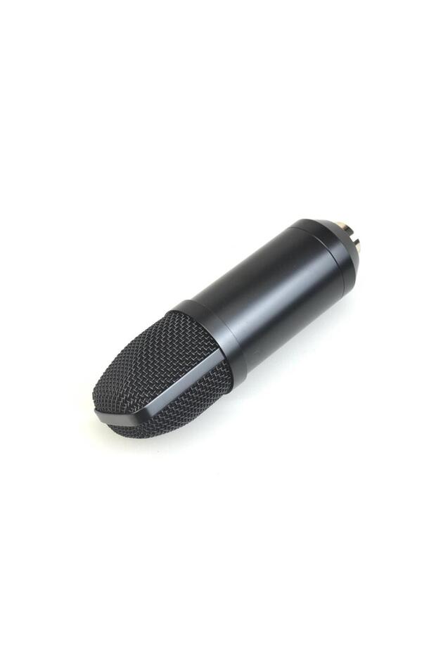 Mıc-300 Stand Ve Pop Filtreli Profesyonel Youtuber Mikrofonu - 3