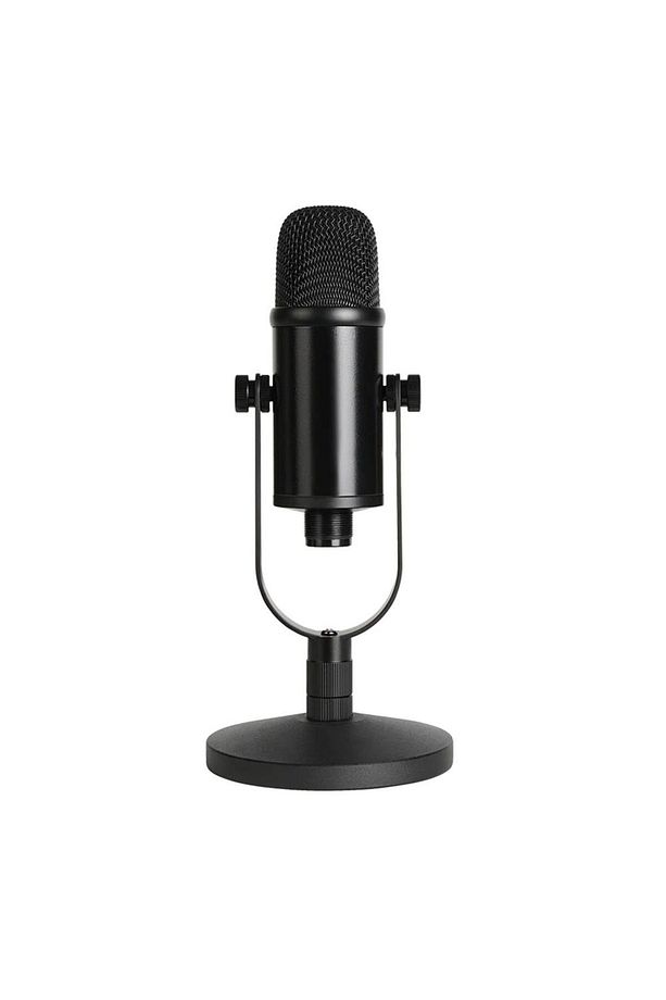 Rm-12 Profesyonel Usb Kayıt Kondenser Mikrofon Stüdyo Mikrofonu - 3
