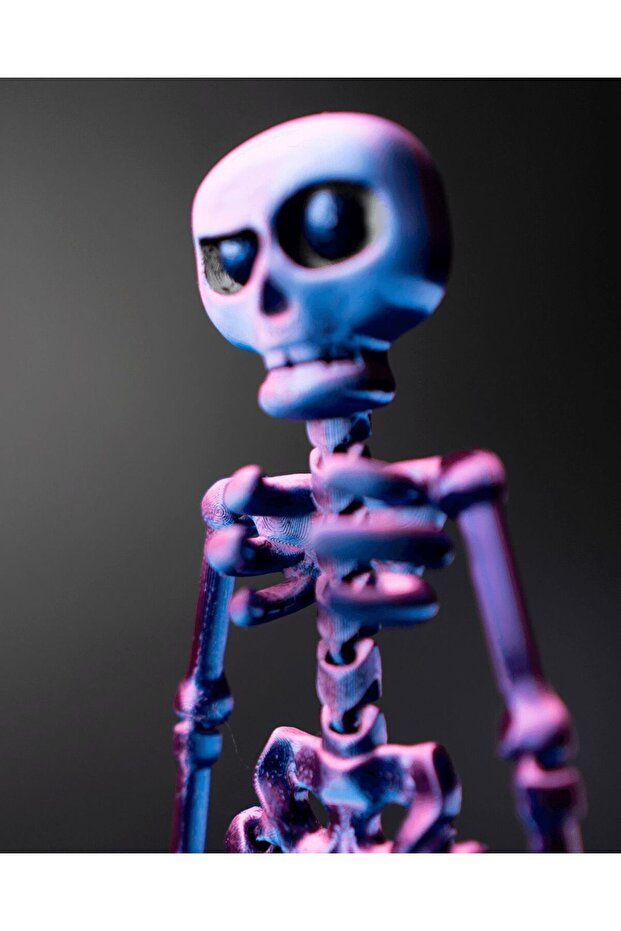 Insan Iskelet Modeli - 3