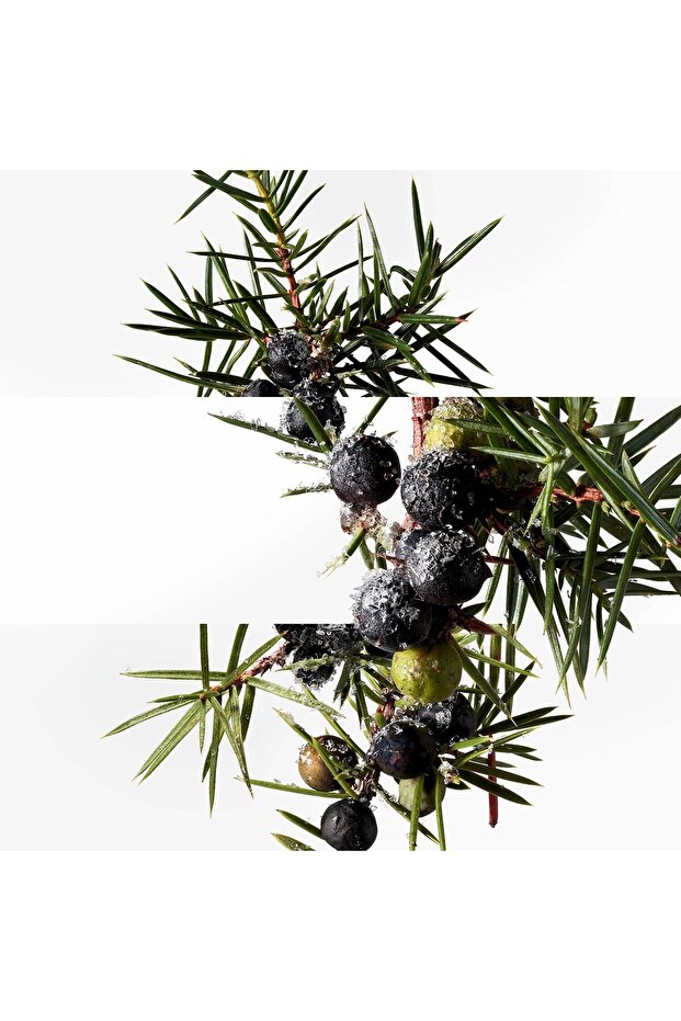 Terre D'Hermes Eau Givree - Eau de Parfum - 5