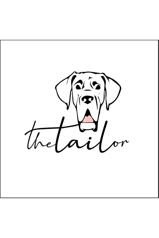 Taş Detaylı Köpek Boyun Tasması Vegan Deri Boyun Tasması - 4
