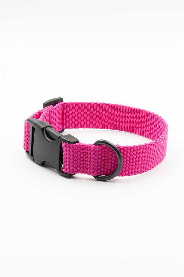 Köpek Tasması Köpek Boyun Tasması Küçük Orta Büyük Irk Köpek Boyun Tasması - 6