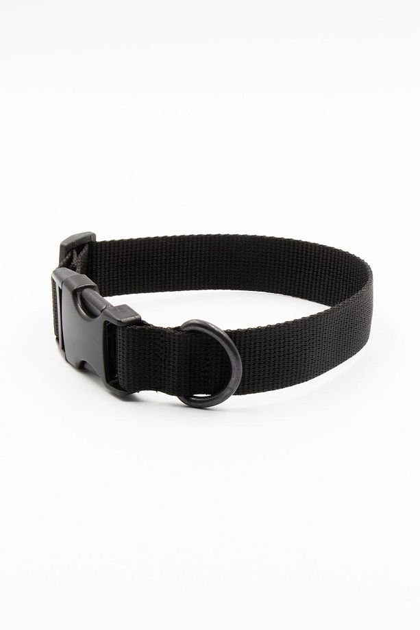Köpek Tasması Köpek Boyun Tasması Küçük Orta Büyük Irk Köpek Boyun Tasması - 7