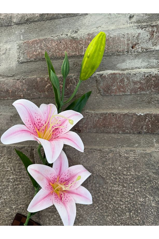 1 adet dal tomurcuklu lilyum çicek - 3