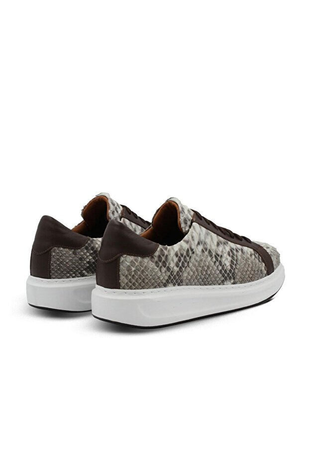 PYTHON SNAKE NATURAL (Naturel Piton Yılan) - 3