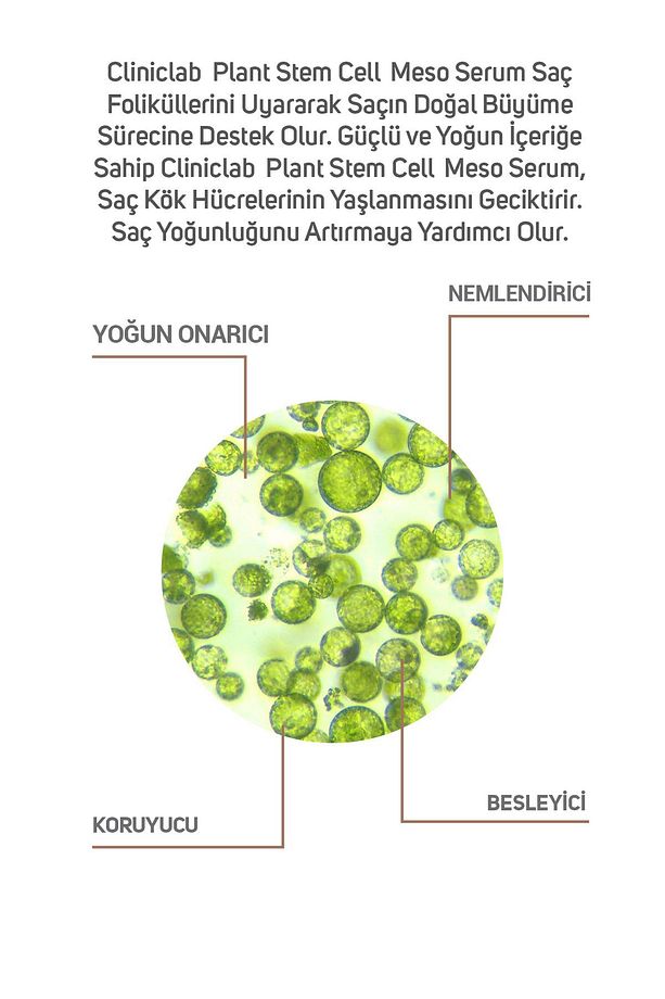 Saç Köklerini Uyarıcı %10 Bitkisel Kök Hücre Içeren Meso Serum 6 ml X 10 Adet - 4