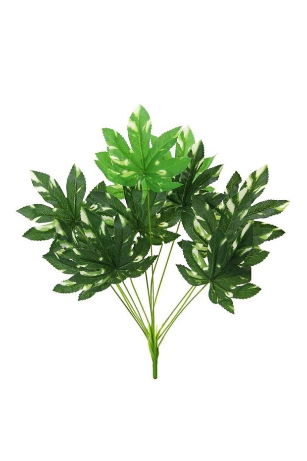 تسخير أرييليا الاصطناعي - 1