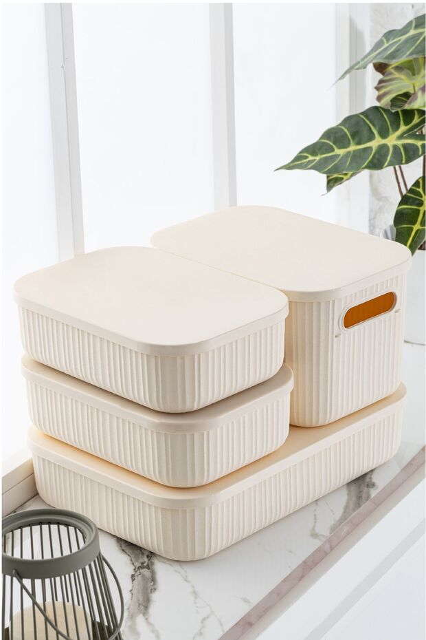 4-Piece Line Storage Box with Lid 1x(6.8 LT 6.2 LT) 2x(3.2 LT) Beige - 2