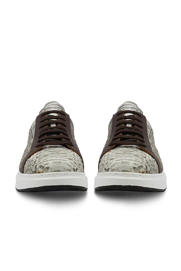 PYTHON SNAKE NATURAL (Naturel Piton Yılan) - 4