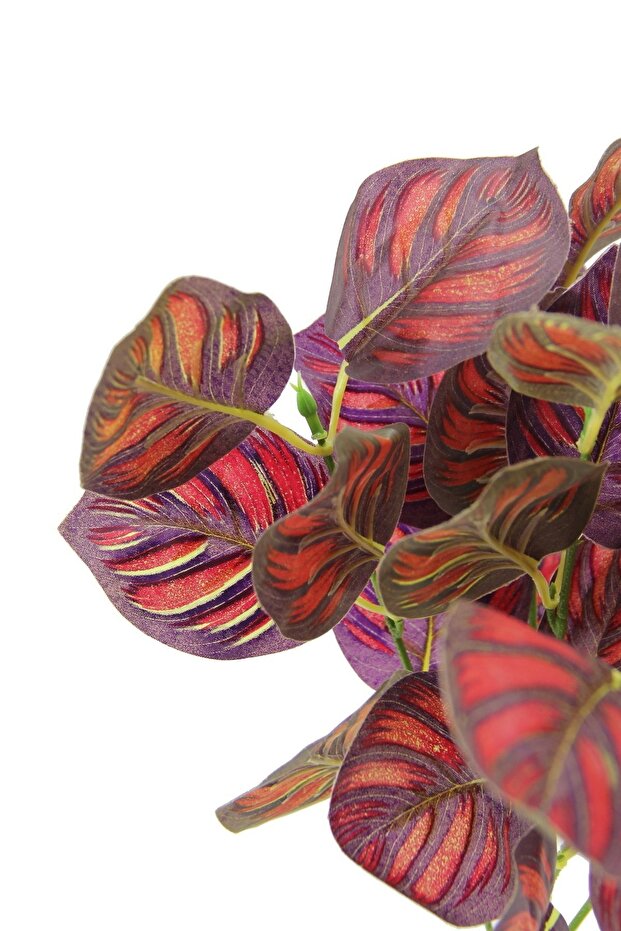 تسخير كالثيا الاصطناعي باللون الأحمر - 2