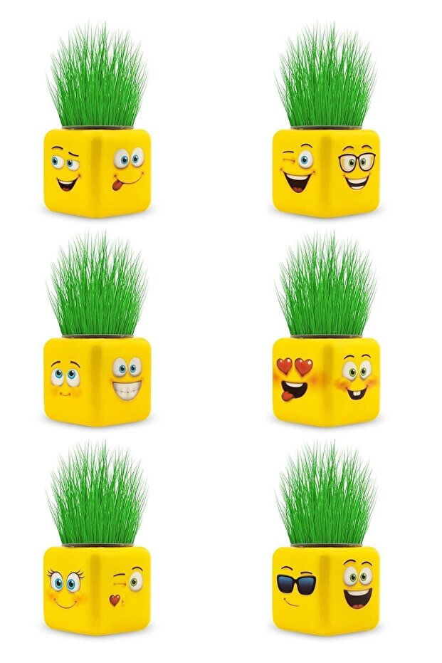 مجموعة مكعبات العشب المرخصة من Grass Man مكونة من 6 قطع