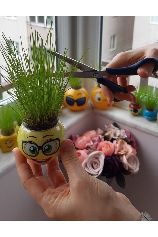 Çim Adam Süslü - 8