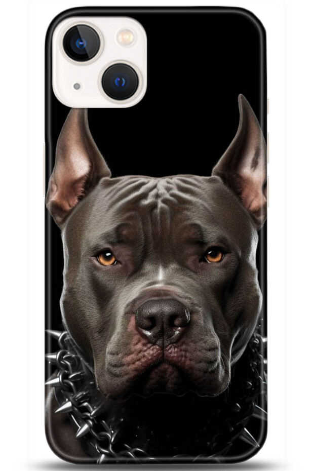 Apple iPhone 13 Mini Case Hd Printed Case - Followed Institution 5104