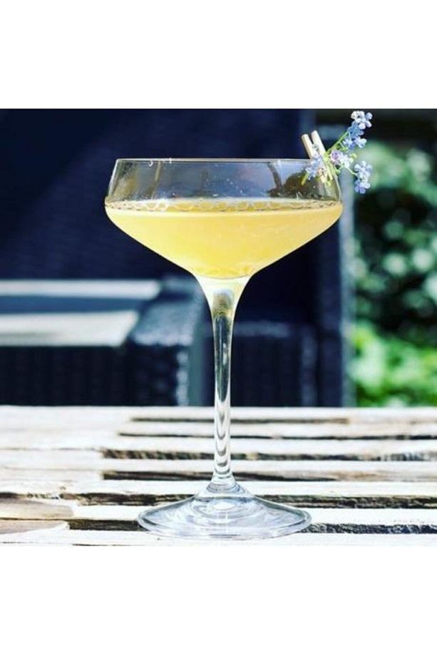Aria Şampanya Kadehi 330 ml 6 Adet - 3