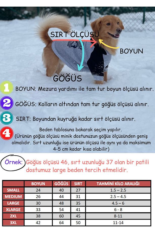 Kedi Köpek Jelibon Kolyeli Tütü Elbise - 5