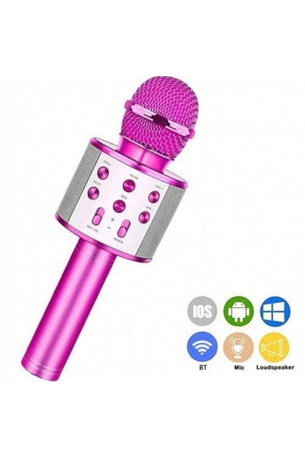 Karaoke Mikrofon Bluetooth Aux Usb Sd Kart Girişli (WS-858) - 2