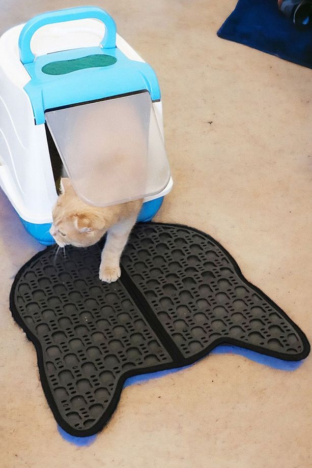 Kedi Kumu Paspası Kedi Tuvalet Önü Paspası Elekli Paspas Tuvaleti 50*50 cm Mama Halısı - 9