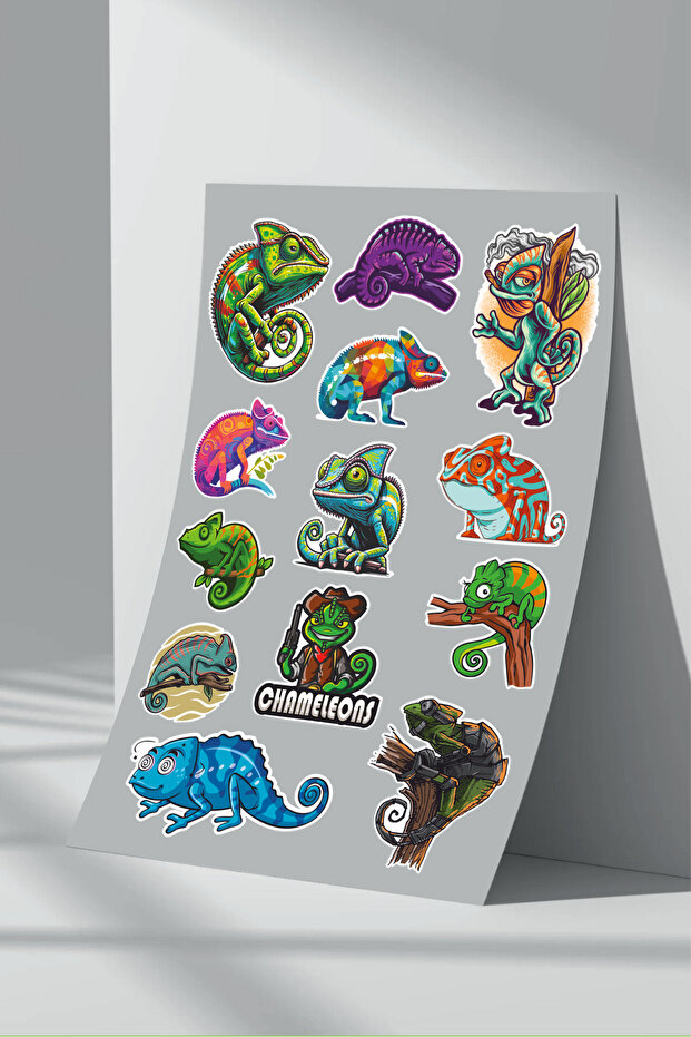Chameleon Sticker Set (4)