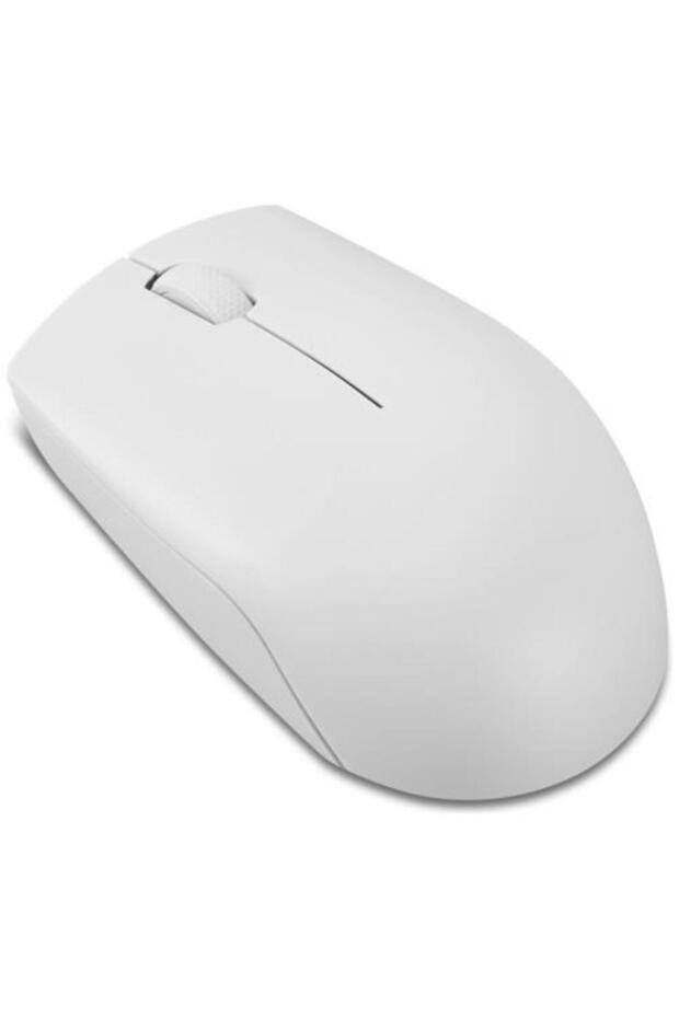 300 GY51L15677 Optik Kablosuz Beyaz Mouse - 1
