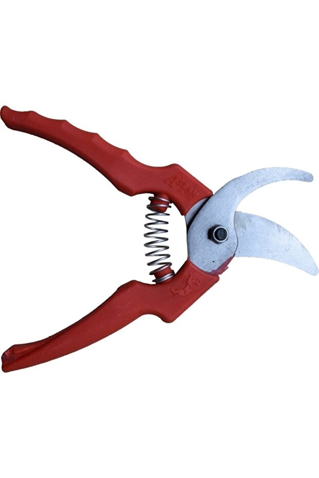 Vineyard Pruning Shears - 1