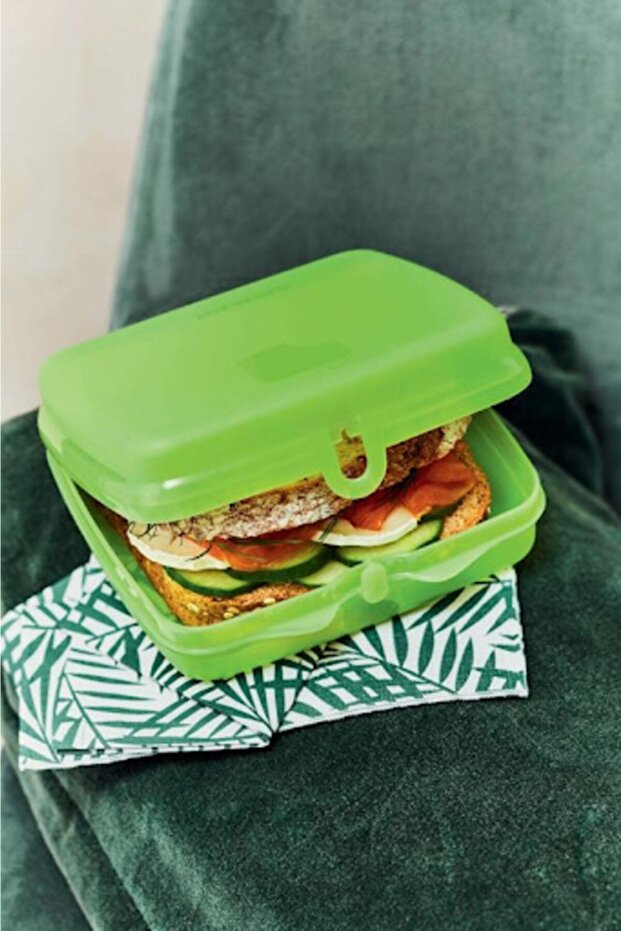 حاوية تخزين الساندويتش - 1