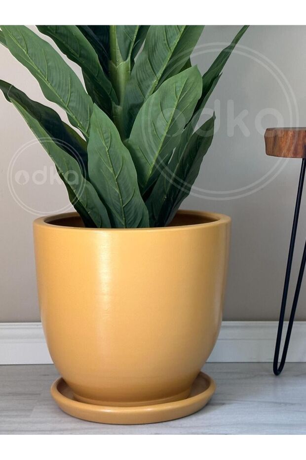 10litre Saksı Tabaklı Çap: 25cmx Yükseklik: 23cm Sarı - 2