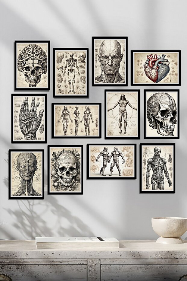 İnsan Anatomisi ve İskelet Tablo Seti - 12 Parçalık Koleksiyon - 1