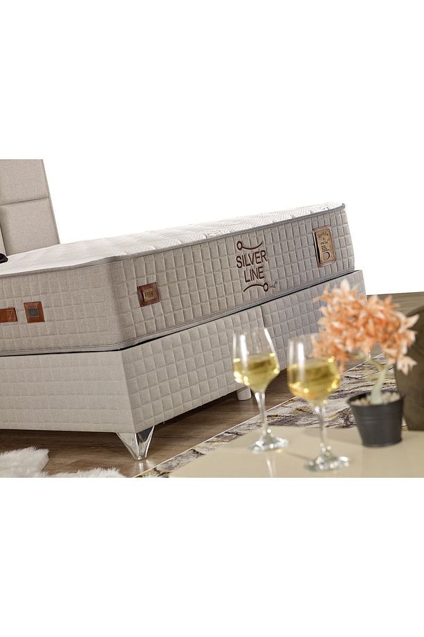 Silver Line Baza Tek Kişilik 100x200 Cm (YATAK VE BAŞLIK FİYATA DAHİL DEĞİLDİR) - 3