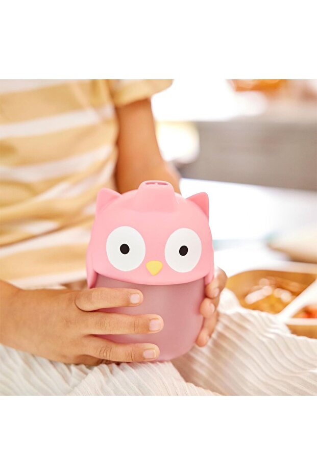 Soft Tipped Sippy Cup 236 ml -9 Months+ Bpa Free, Leak Proof, Owl Pattern - 2